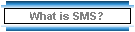 What is SMS?